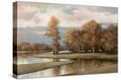 Stretched Canvas