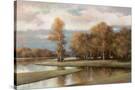 Stretched Canvas