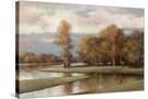 Stretched Canvas