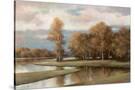 Stretched Canvas