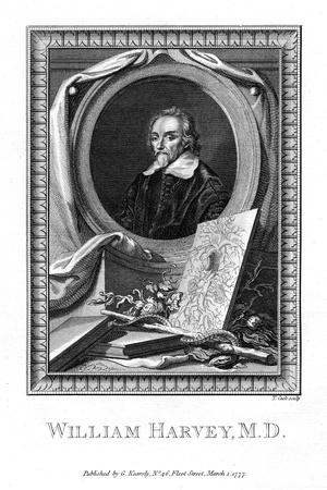 William Harvey, Medical Doctor, 1777