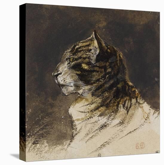 T? de chat ; vers 1824-1829-Eugene Delacroix-Stretched Canvas