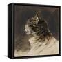 T? de chat ; vers 1824-1829-Eugene Delacroix-Framed Stretched Canvas