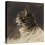 T? de chat ; vers 1824-1829-Eugene Delacroix-Stretched Canvas