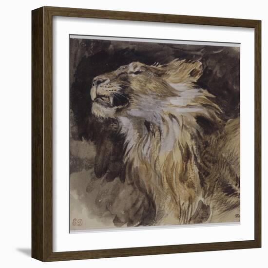 T? de lion rugissant-Eugene Delacroix-Framed Giclee Print