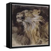 T? de lion rugissant-Eugene Delacroix-Framed Stretched Canvas