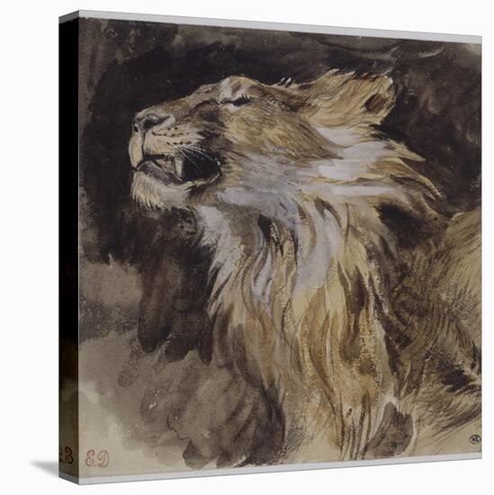 T? de lion rugissant-Eugene Delacroix-Stretched Canvas