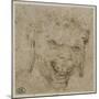 T? de satyre aux oreilles pendantes-Leonardo da Vinci-Mounted Giclee Print