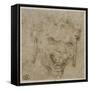 T? de satyre aux oreilles pendantes-Leonardo da Vinci-Framed Stretched Canvas