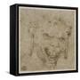 T? de satyre aux oreilles pendantes-Leonardo da Vinci-Framed Stretched Canvas