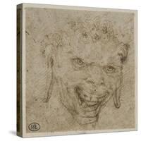 T? de satyre aux oreilles pendantes-Leonardo da Vinci-Stretched Canvas