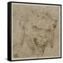 T? de satyre aux oreilles pendantes-Leonardo da Vinci-Framed Stretched Canvas