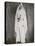 T E Lawrence (Lawrence of Arabia) Full-Length Photograph in Arab Dress-null-Stretched Canvas