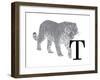 T is for Tiger-Stacy Hsu-Framed Art Print