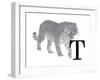 T is for Tiger-Stacy Hsu-Framed Art Print