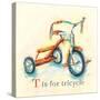T is for Tricycle-Catherine Richards-Stretched Canvas