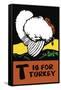 T is for Turkey-Charles Buckles Falls-Framed Stretched Canvas