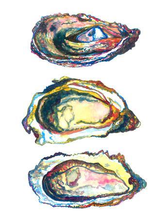 3 Oyster Shells