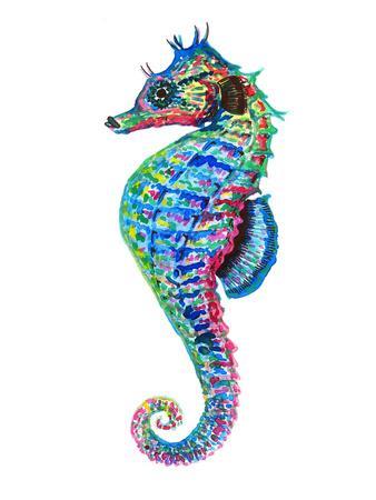 Colorful Seahorse Facing Left