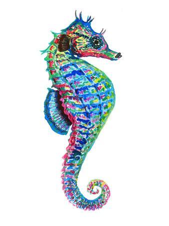 Colorful Seahorse Facing Right