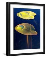 T_Lily, 2021, (digital)-Scott J. Davis-Framed Giclee Print