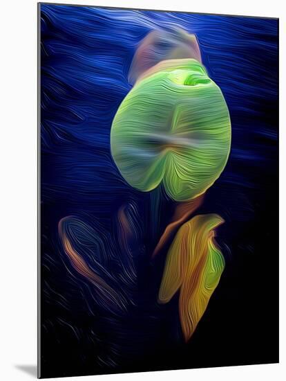 T_Lily2, 2021, (digital)-Scott J. Davis-Mounted Giclee Print