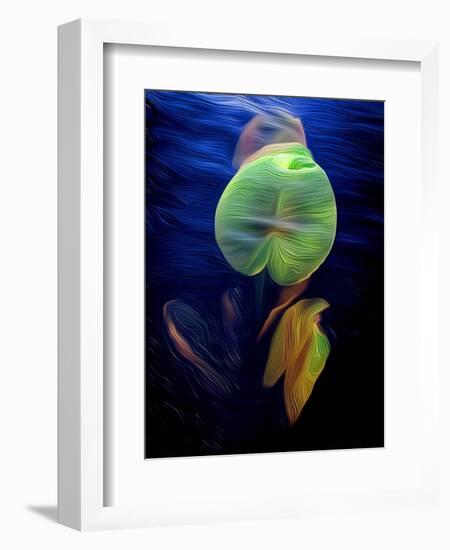 T_Lily2, 2021, (digital)-Scott J. Davis-Framed Giclee Print