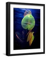 T_Lily2, 2021, (digital)-Scott J. Davis-Framed Giclee Print