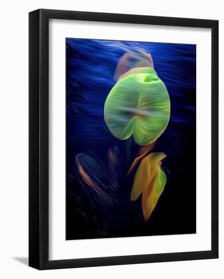 T_Lily2, 2021, (digital)-Scott J. Davis-Framed Giclee Print