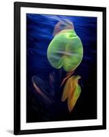 T_Lily2, 2021, (digital)-Scott J. Davis-Framed Giclee Print