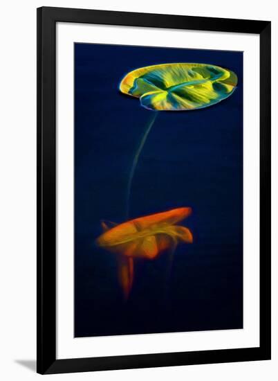 T_Lily3, 2021, (digital)-Scott J. Davis-Framed Giclee Print