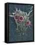 T Lymphocytes And Cancer Cell, SEM-Steve Gschmeissner-Framed Stretched Canvas