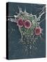 T Lymphocytes And Cancer Cell, SEM-Steve Gschmeissner-Stretched Canvas