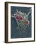 T Lymphocytes And Cancer Cell, SEM-Steve Gschmeissner-Framed Photographic Print