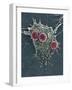 T Lymphocytes And Cancer Cell, SEM-Steve Gschmeissner-Framed Photographic Print