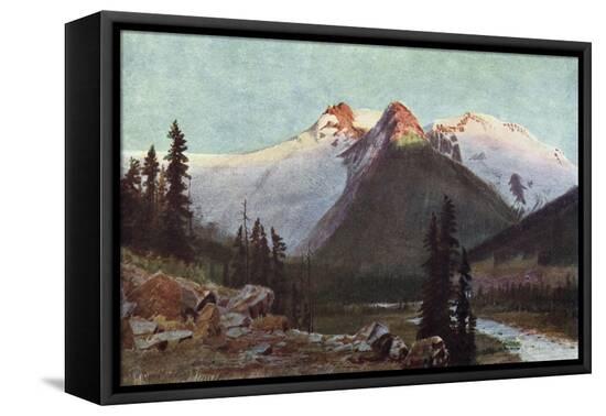 Stretched Canvas Print, , large