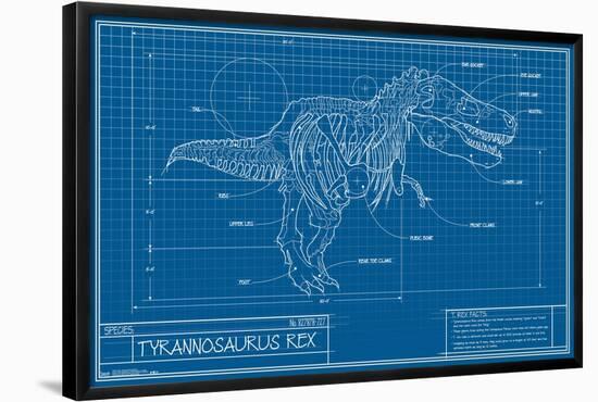 T-Rex - Blueprint Illustration-Trends International-Framed Poster