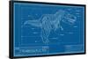T-Rex - Blueprint Illustration-Trends International-Framed Poster