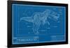 T-Rex - Blueprint Illustration-Trends International-Framed Poster