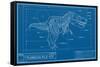 T-Rex - Blueprint Illustration-Trends International-Framed Stretched Canvas