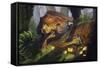 T-Rex Protecting Nest Dinosaur-Lantern Press-Framed Stretched Canvas