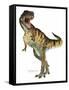 T-Rex-Tim Knepp-Framed Stretched Canvas