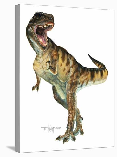 T-Rex-Tim Knepp-Stretched Canvas