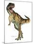 T-Rex-Tim Knepp-Mounted Giclee Print