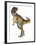 T-Rex-Tim Knepp-Framed Giclee Print