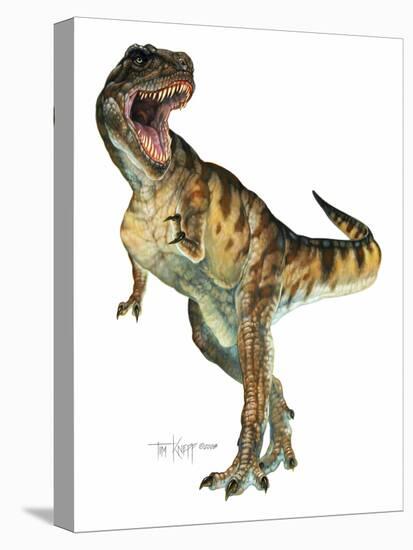 T-Rex-Tim Knepp-Stretched Canvas