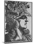 T. T. Claudius Caesar, Emperor of Rome-Antonius-Mounted Photographic Print