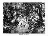 River in Haiti, 19th Century-T Weber-Framed Giclee Print