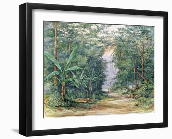 T1229 the Blue Mountains, Jamaica, 1879-Admiral Sir Edward Augustus Inglefield-Framed Giclee Print