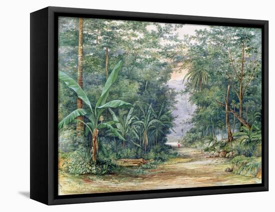 T1229 the Blue Mountains, Jamaica, 1879-Admiral Sir Edward Augustus Inglefield-Framed Stretched Canvas